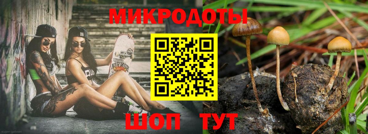 Галлюциногенные грибы мухоморы Валуйки